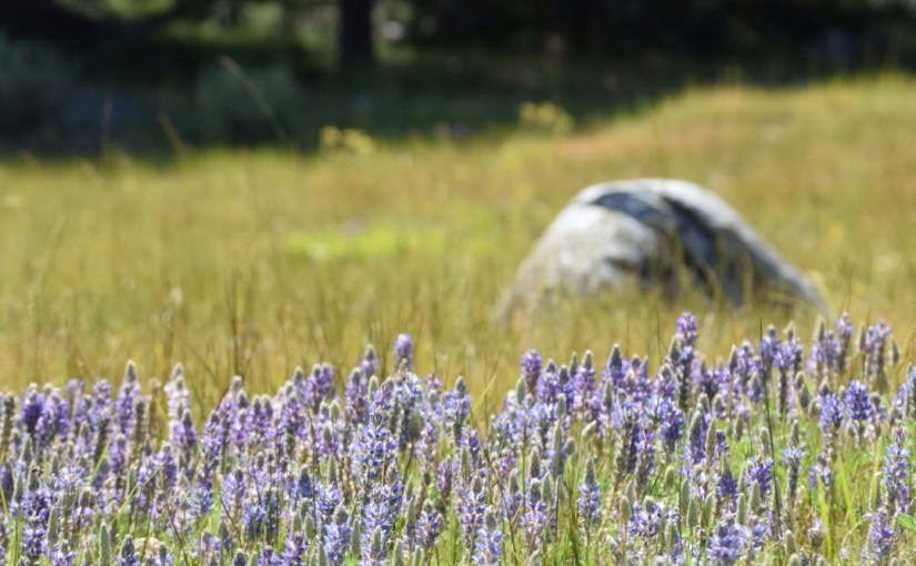 Take Some Time to Enjoy the&nbsp;View…