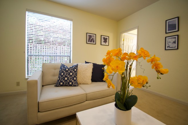 BAA85B42-2763-4EFD-BE4B-A4886B33ADB1_1_100_o